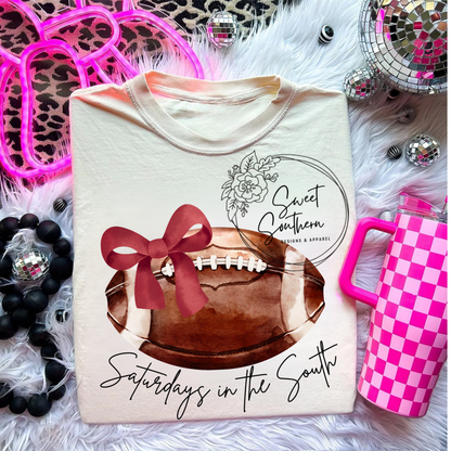 football Saturdays in the South t-shirt