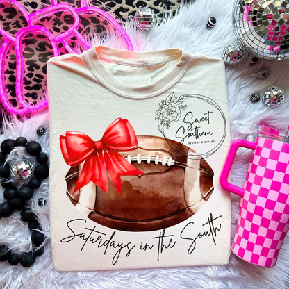 football Saturdays in the South t-shirt